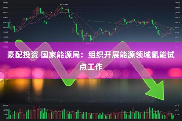 豪配投资 国家能源局：组织开展能源领域氢能试点工作