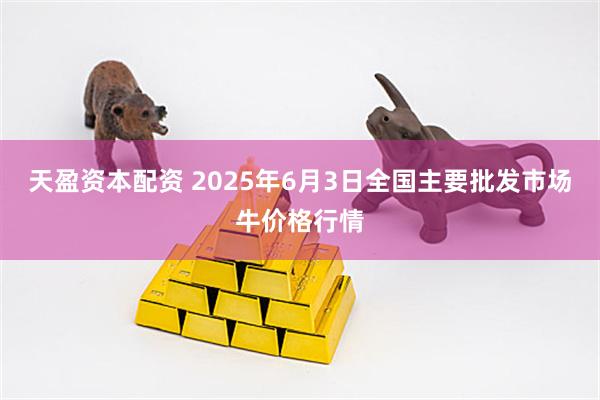 天盈资本配资 2025年6月3日全国主要批发市场牛价格行情