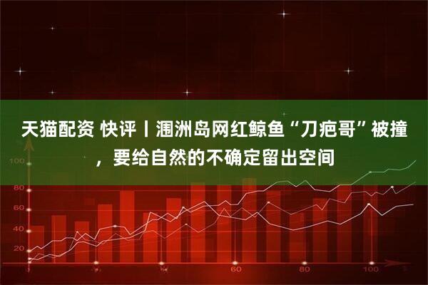天猫配资 快评丨涠洲岛网红鲸鱼“刀疤哥”被撞,要给自然的不确定留出空间