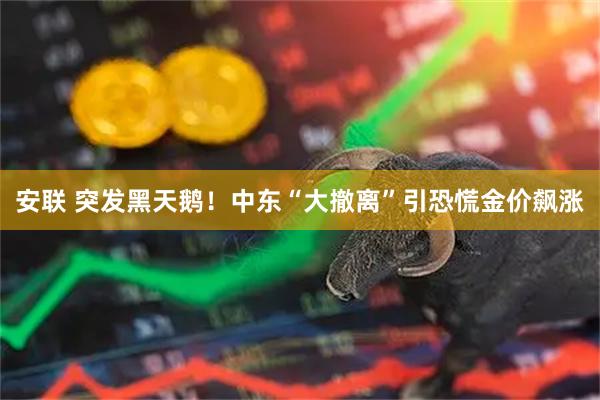 安联 突发黑天鹅！中东“大撤离”引恐慌金价飙涨