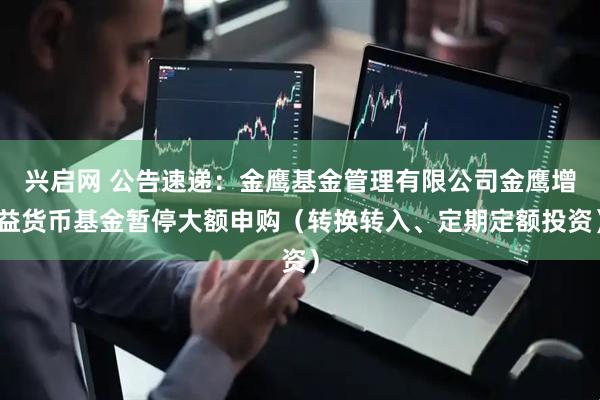 兴启网 公告速递：金鹰基金管理有限公司金鹰增益货币基金暂停大额申购（转换转入、定期定额投资）